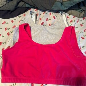 Pink and Gray Sport Bras 3x